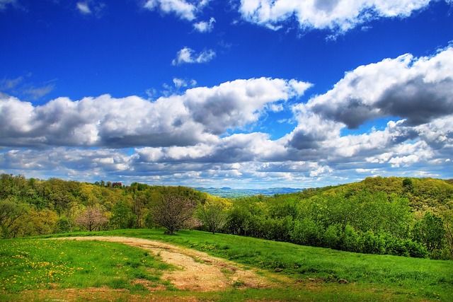 Free Clouds Bluff photo and picture