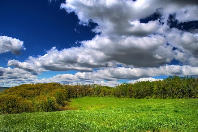 Free Meadow Nature photo and picture