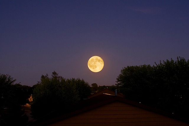 Free Moon Night photo and picture