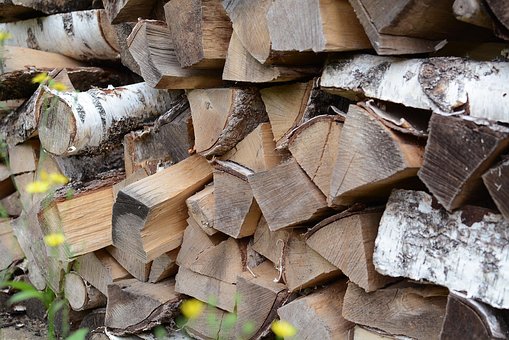 Free Wood Nature photo and picture