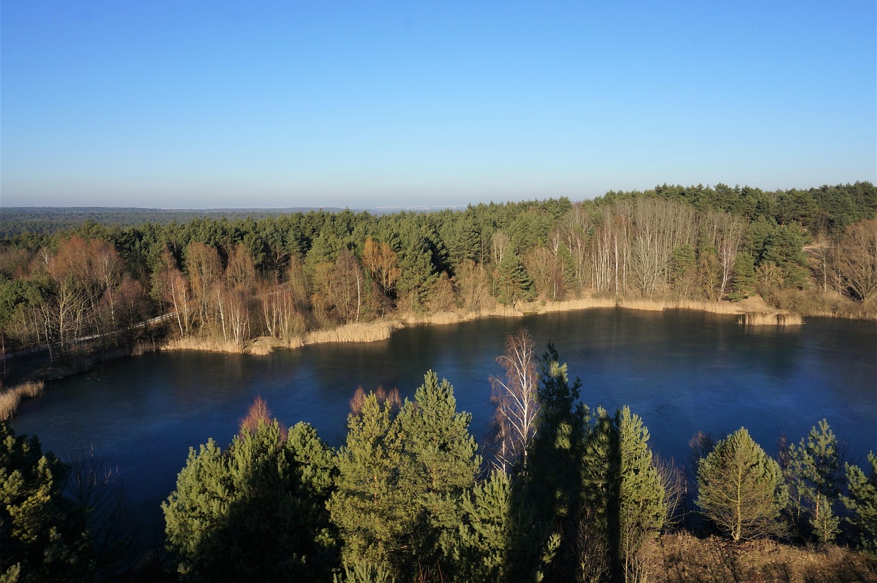 wasser wald und wiesen pfad