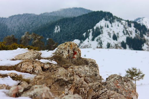 Free Rock Red photo and picture