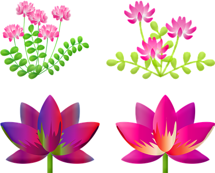 3000以上の無料蓮の花 花画像