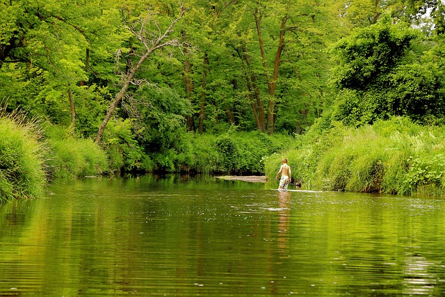 Free Green Nature photo and picture