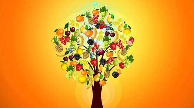 Download free HD stock image of Fruit Fruit Tree Free fruit fruit tree health illustration