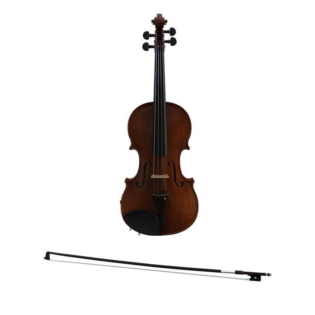 Free musical instruments violin illustration