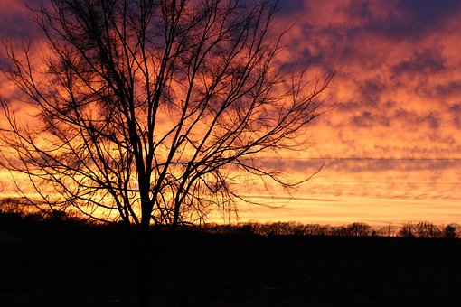 Solnedgang, Efterår, Landskab, Træer