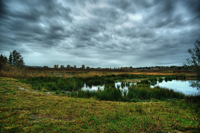 Hageven, Peisaj, Nori, Natura, Iarbă