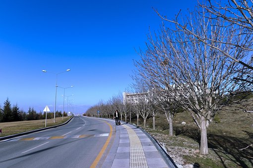 Free Bilkent Road photo and picture