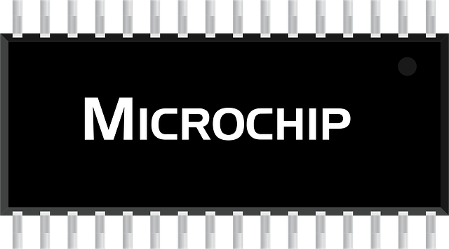 Free microchip circuit icon vector