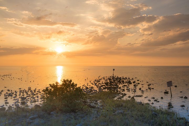 900+ Free Florida Beach &amp; Florida Images