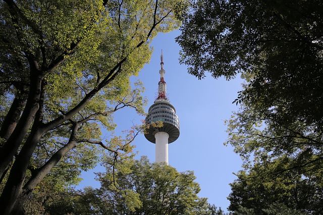 Free Korea Tower photo and picture