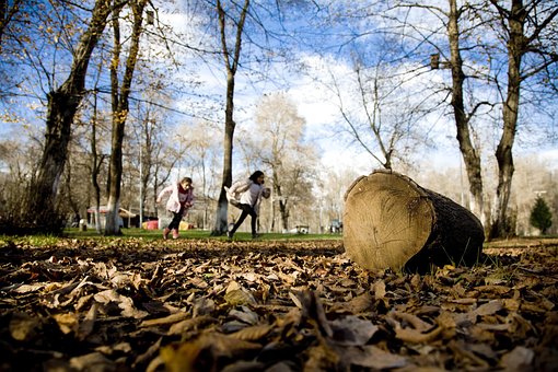 Niño, Naturaleza, Felicidad, Infancia