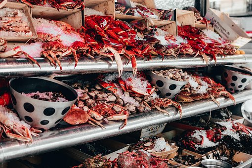 Free Fish Market photo and picture