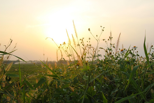 Solnedgang, Himmel, Solopgang, Landskab