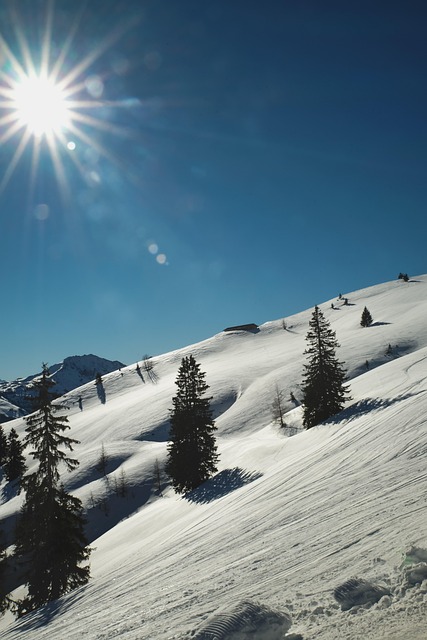 Free Winter Landscape Snow photo and picture