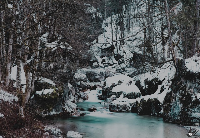 Free Winter Water photo and picture