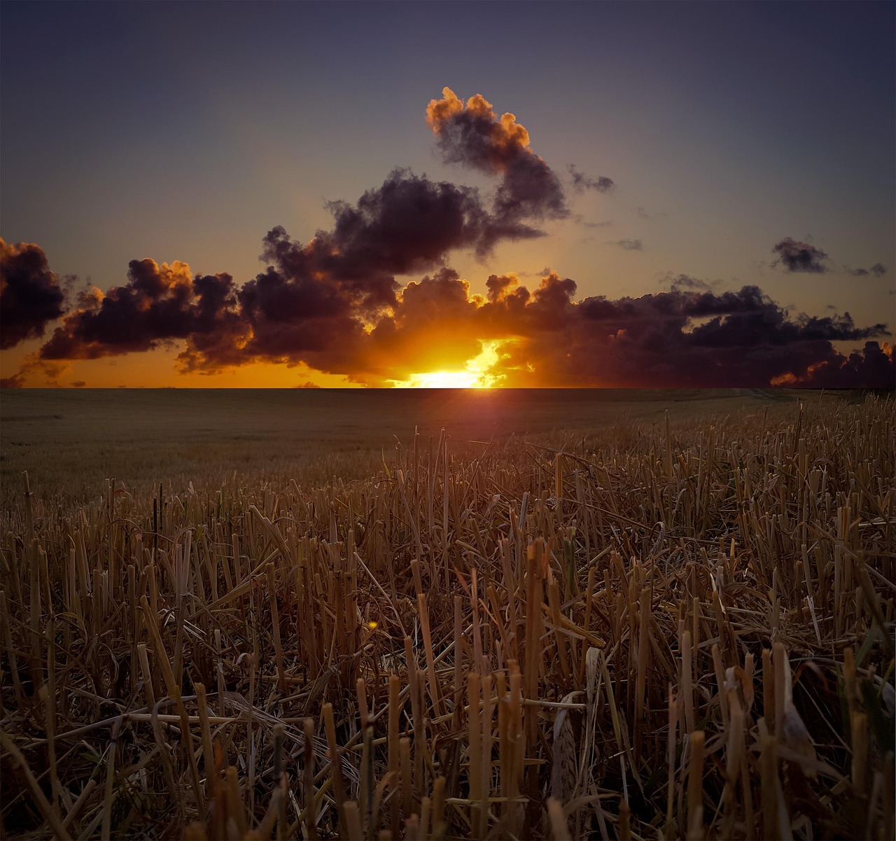 Paysage Domaine Champ De Blé - Photo gratuite sur Pixabay - Pixabay
