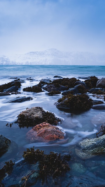Free Water Landscape photo and picture