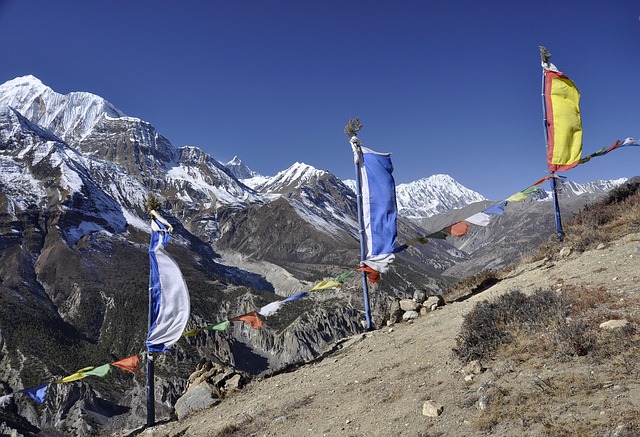 Free Nepal Prayer Flags photo and picture