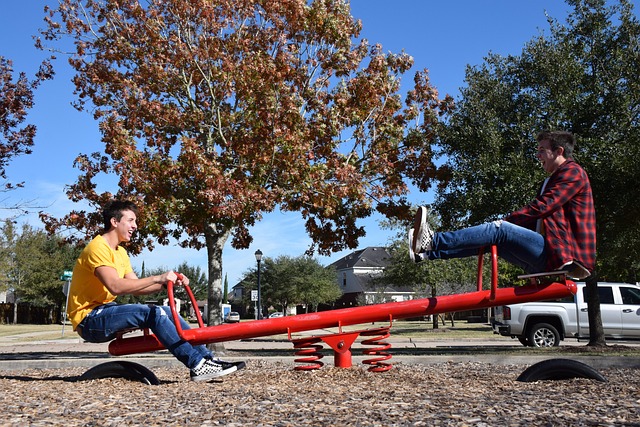 Free Clone Seesaw photo and picture