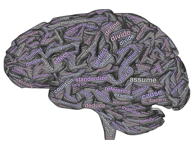 Free brain dualistic thought illustration