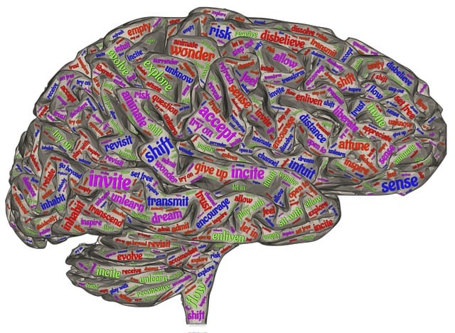 Free brain right-sided intuition illustration