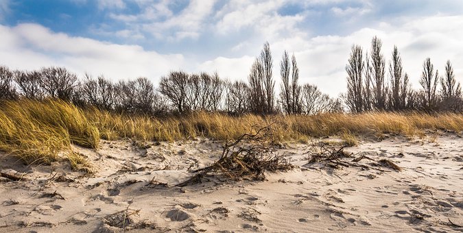 Free Beach Coast photo and picture