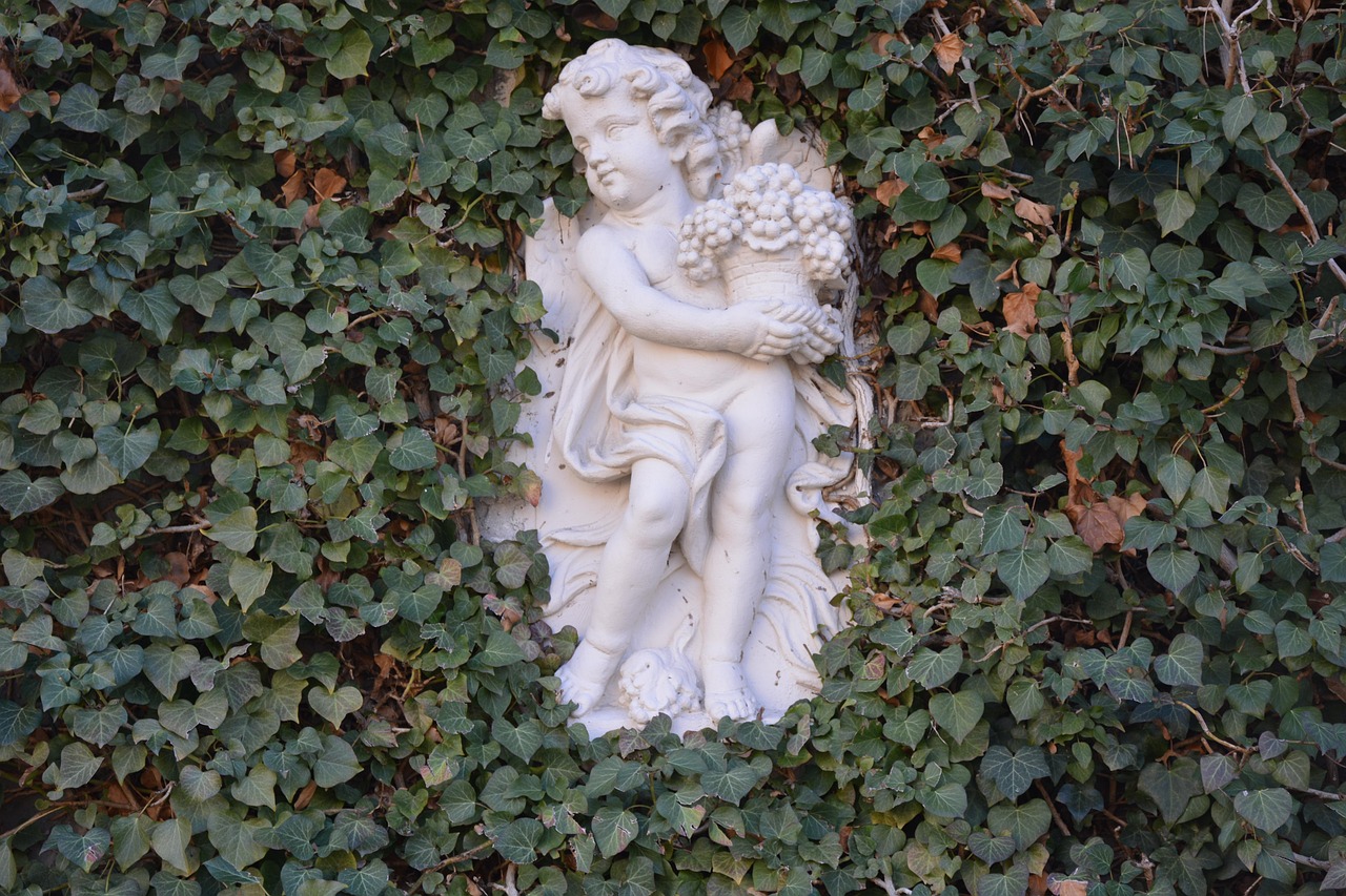 Engel Efeu Potsdam - Kostenloses Foto auf Pixabay