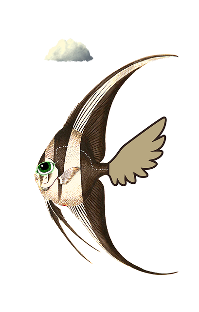 Sverdfisk, Sky, Komisk, Komponere