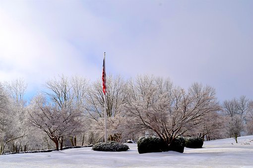 Free Snow Winter photo and picture