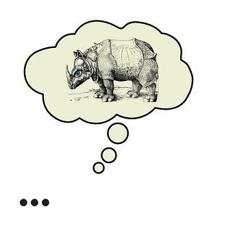Neshorn, Boble, Albrecht Duerer Rhino