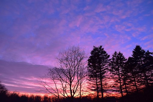 Free Sunset Trees photo and picture