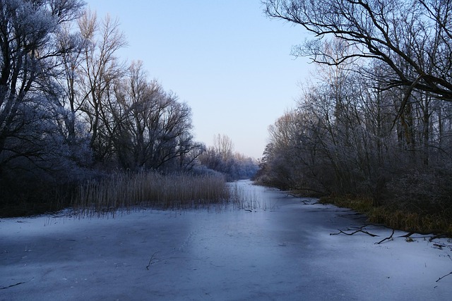 Free Nature Country photo and picture