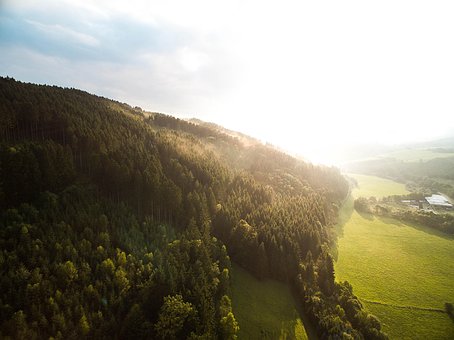 Free Aerial View Forest photo and picture