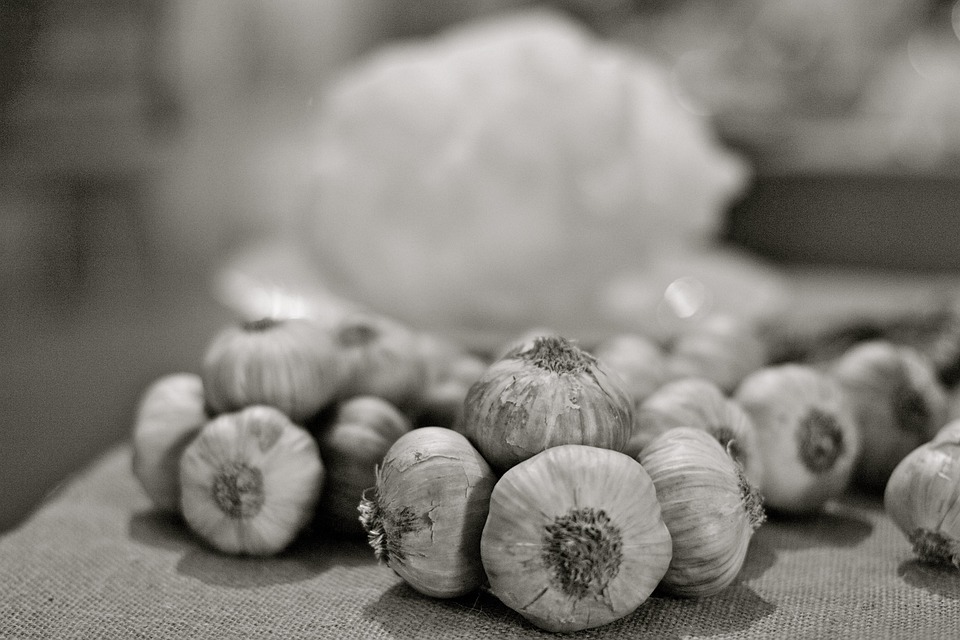Garlic Italy Italian Free photo on Pixabay Pixabay