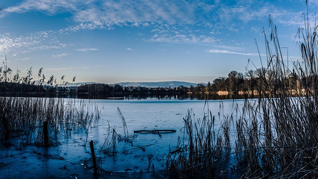 Free Nature Lake photo and picture