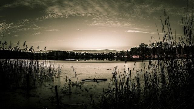 Free Nature Lake photo and picture