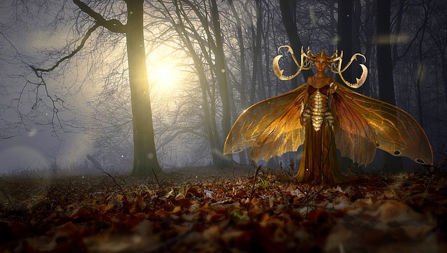 Free fantasy forest magic illustration