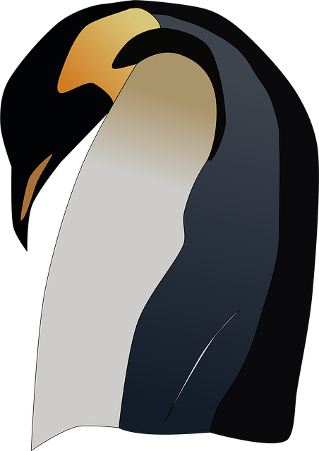 Pinguïn, Keizer, Antarctica, Polair