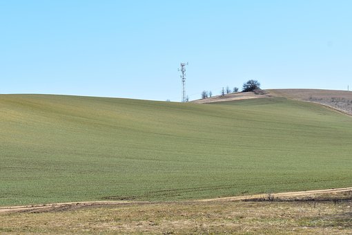 Free Hill Field photo and picture