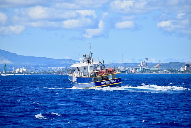Free Hawaii Diamond Head photo and picture