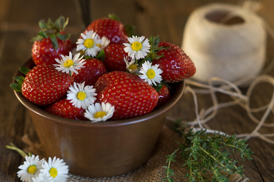 Strawberries, Daisies, Bellis Perennis, Summer, Color