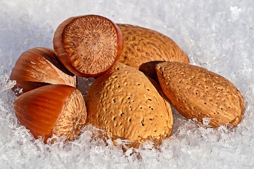 Free Nuts Snow photo and picture