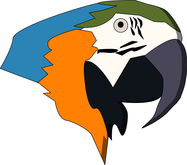 Papegaai, Vogel, Natuur, Dier, Gevederte