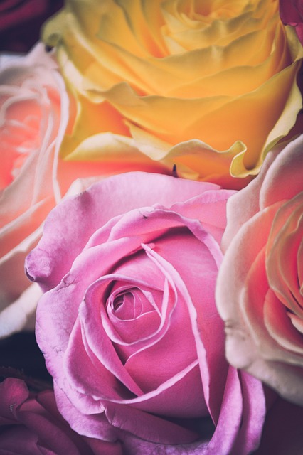 Flowers, international women's day, postcard and march 8 — photo by Sunriseforever