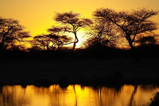 África, Pôr Do Sol, Panorama
