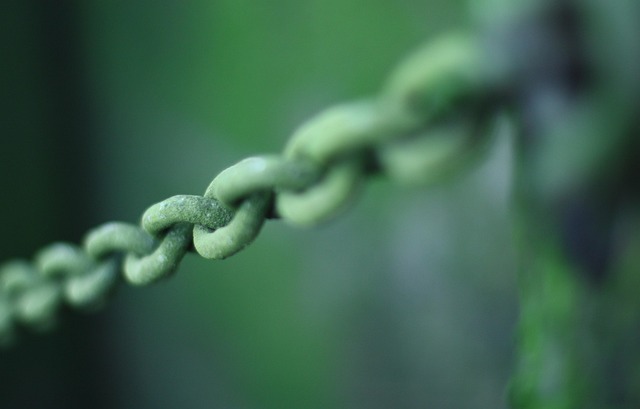 Free Chained Link photo and picture