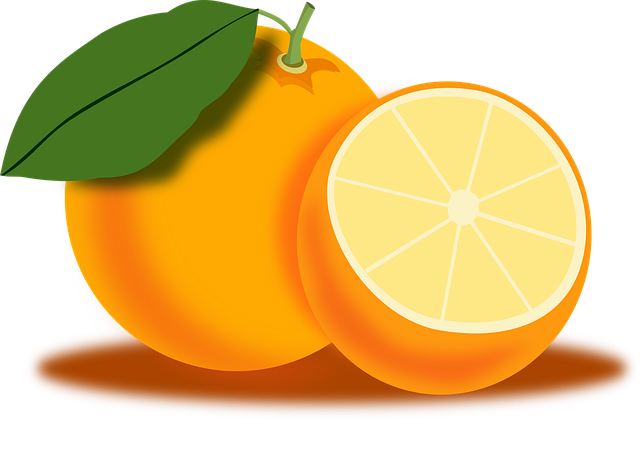 Free orange fruit food illustration