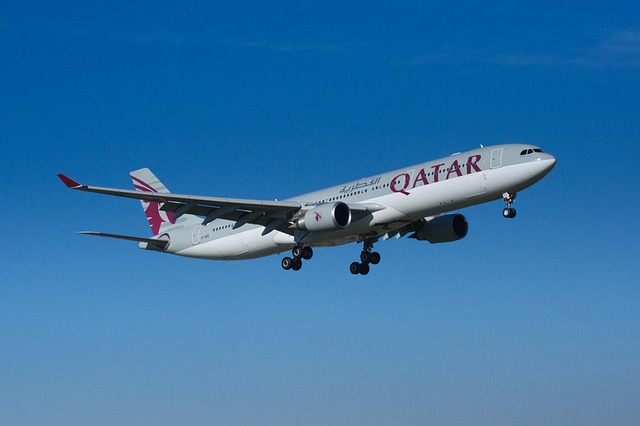 Free The Plane Aircraft photo and picture